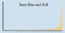 Yeast Population Growth small Yeast Population Growth small