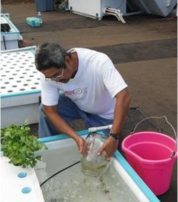 Newsletter #45 from Friendly Aquaponics