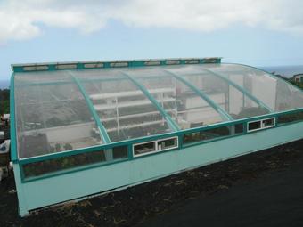 Friendly Aquaponic's FIRST Aquaponic Solar Greenhouse in full bloom 