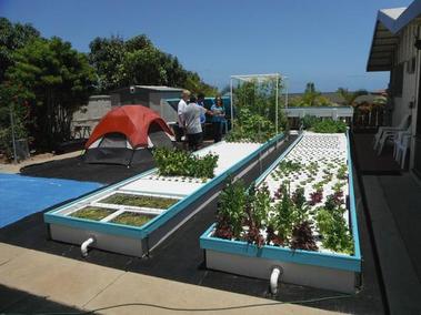 sistem for aquaponic: Friendly aquaponics manual