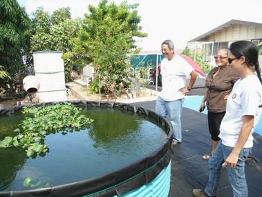  MEO) inspecting Larry and Patty's greenwater tilapia breeding tank