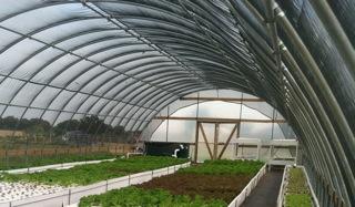 Friendly Aquaponics Newsletter #156