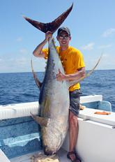 yellowfin165PX yellowfin165PX