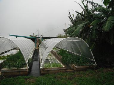 Aquaponics Training In South Africa